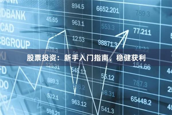 股票投资:新手入门指南,稳健获利