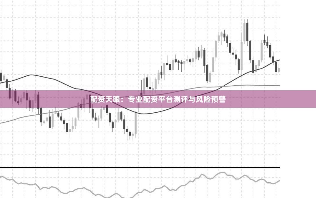 配资天眼：专业配资平台测评与风险预警