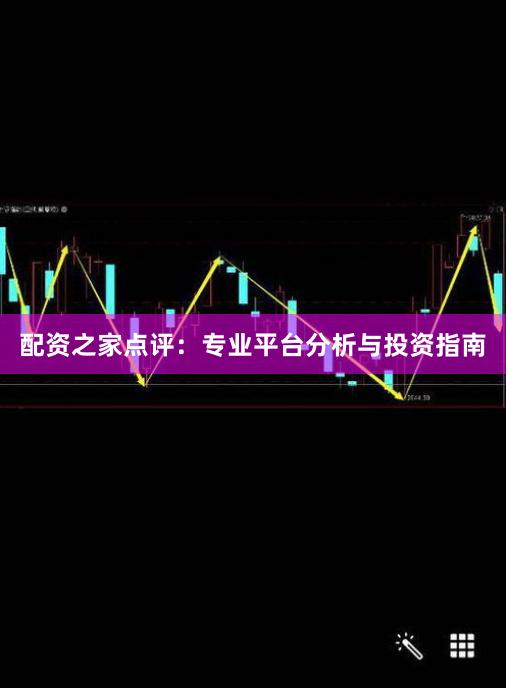 配资之家点评：专业平台分析与投资指南