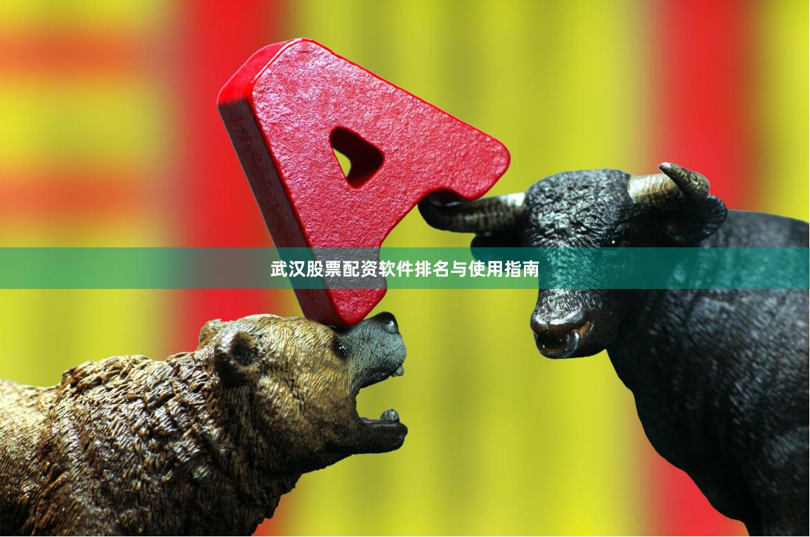武汉股票配资软件排名与使用指南