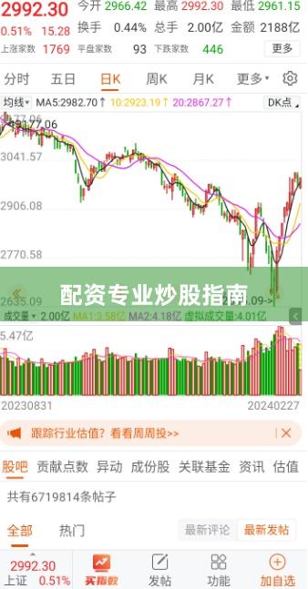 配资专业炒股指南